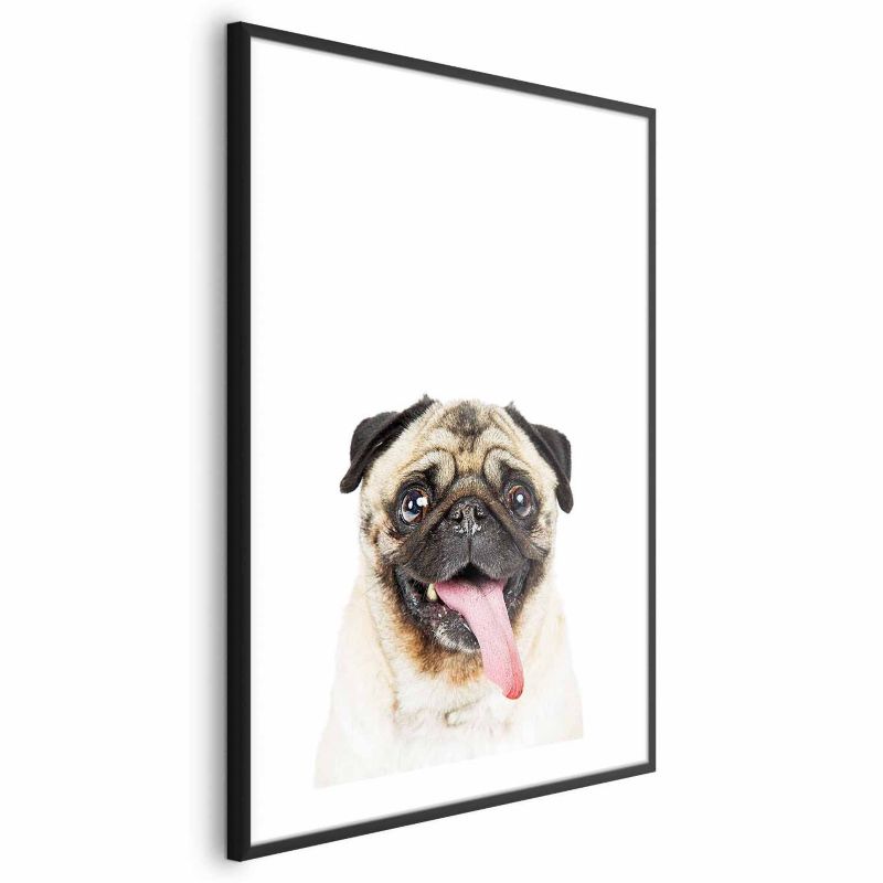 Plakat Artgeist Mops 21x30 cm z ramą czarną 1 szt