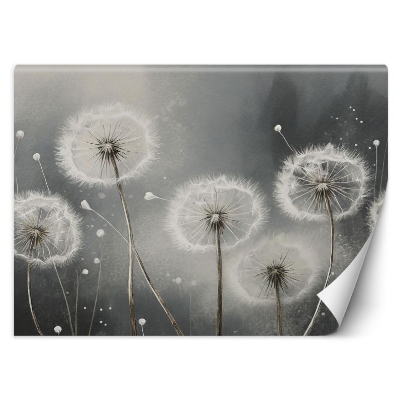 Fototapeta Feeby Dmuchawce w odcieniach szarości 150x105 1 szt