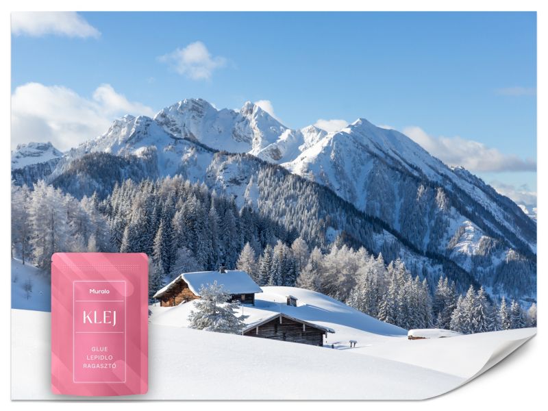 Fototapeta Muralo Zima w Górach Krajobraz 100x70 cm 1szt.