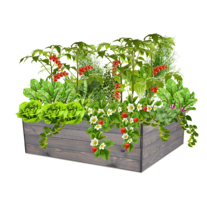 Warzywniak MODO24 grządka szara impregnacja 36x103x100 cm 1 szt.