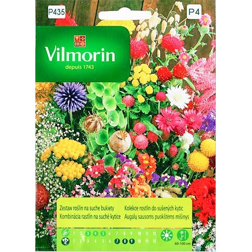 1 szt, Zestaw roślin na suche bukiety Vilmorin - Nasiona: Ilość w opakowaniu: 2 g