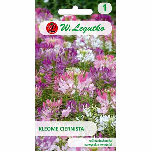 1 szt, Kleome ciernista, mieszanka Legutko - Nasiona: Ilość w opakowaniu: 0.5 g