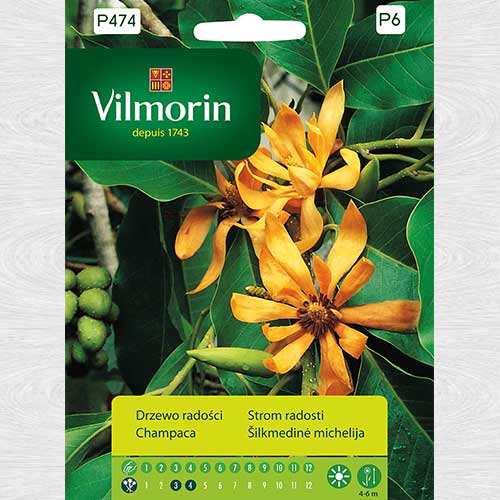 1 szt, Drzewko radości - Nasiona: Ilość w opakowaniu: 15 szt