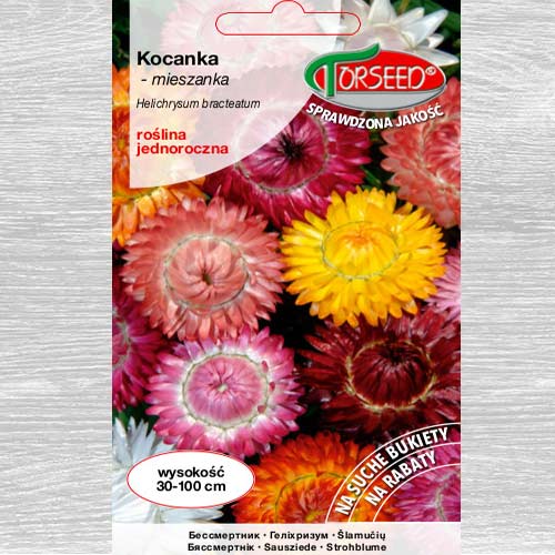 1 szt, Kocanka ogrodowa - Nasiona: Ilość w opakowaniu: 2 g