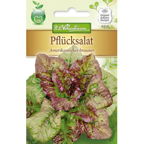 1 szt, Sałata lisciowa Amerikanischer Brauner - Nasiona: Ilość w opakowaniu: 500 szt.
