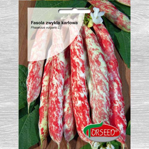 1 szt, Fasola szparagowa Borlotto lingua di fuoco nano - Nasiona: Ilość w opakowaniu: 20 g