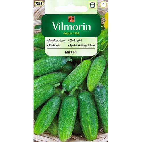 1 szt, Ogórek gruntowy Mira F1 Vilmorin - Nasiona: Ilość w opakowaniu: 5 g