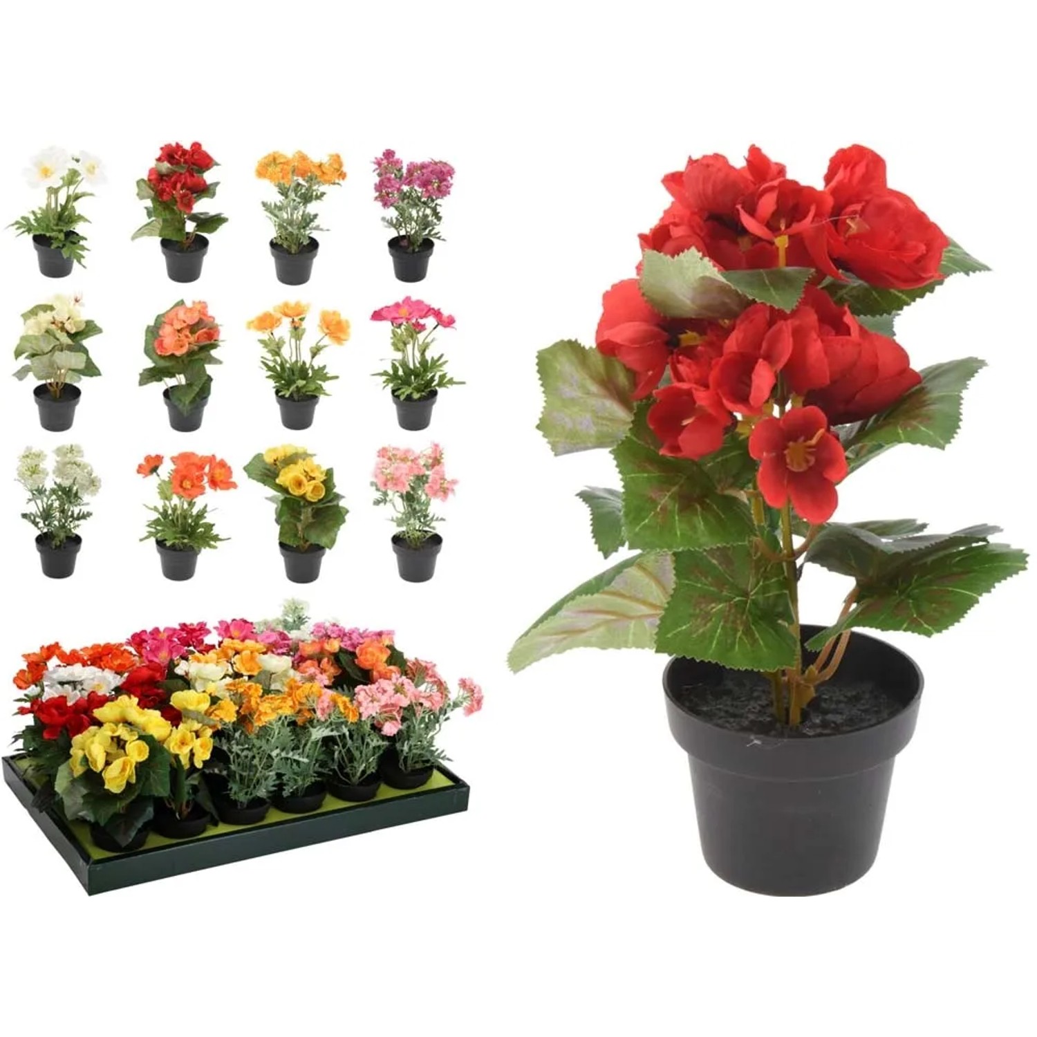 Kwiat wiosenny w doniczce mix