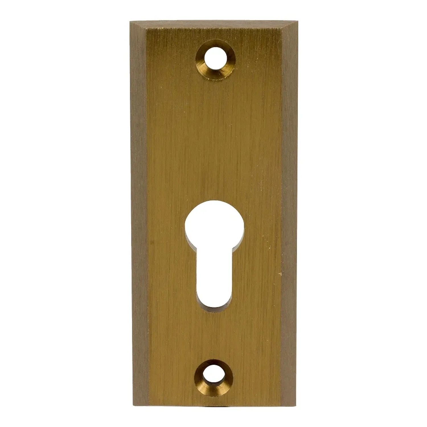 Domino Szyld Shark na wkładkę