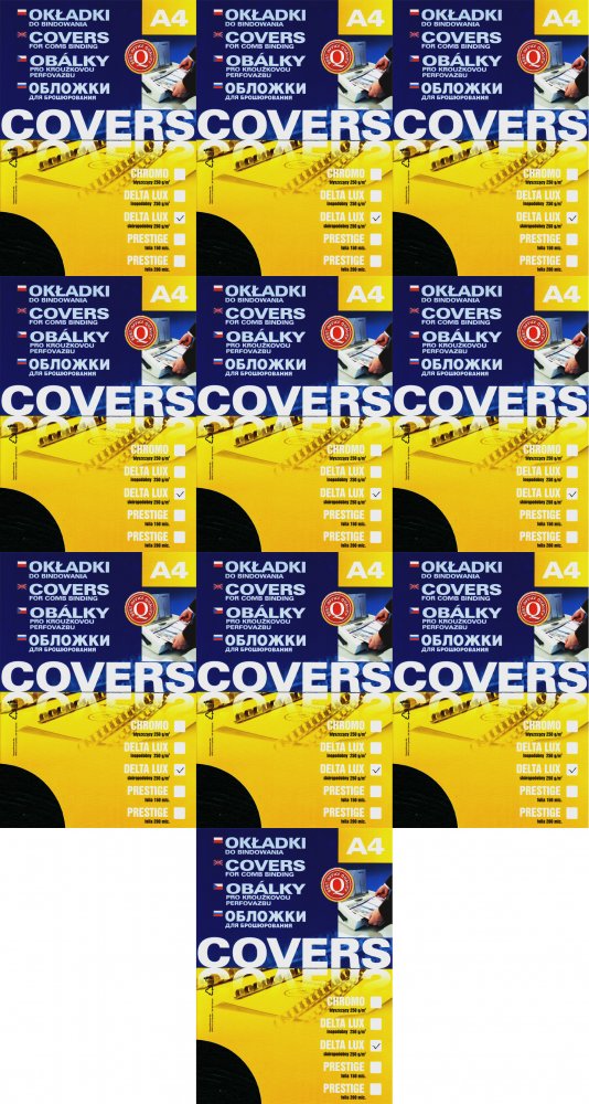 10x Okładki do bindowania Argo Delta, A4, 250g/m2, skóropodobne, 100 sztuk, czarny