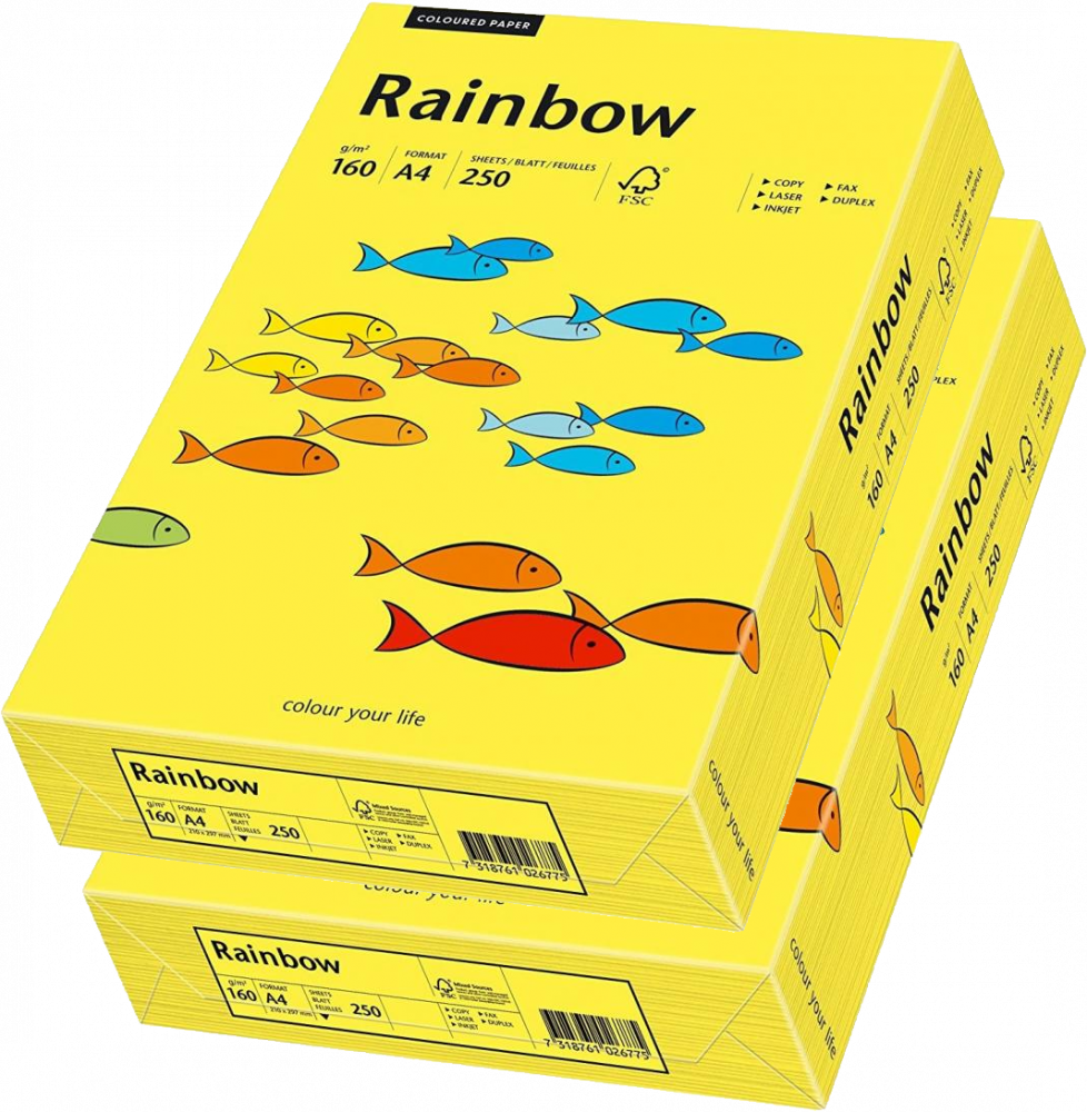 2x Papier ksero ekologiczny Rainbow, A4, 160g/m2, 250 arkuszy, ciemny żółty (R18)