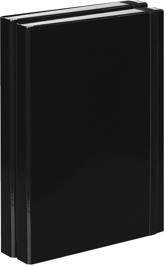 2x Teczka kartonowa z gumką VauPe Box z mechanizmem ringowym, A4, 30mm, czarny