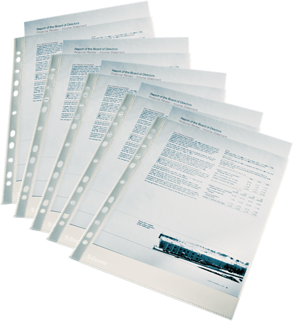 2x Koszulki krystaliczne Esselte, A4, 105μm, 100sztuk, transparentny