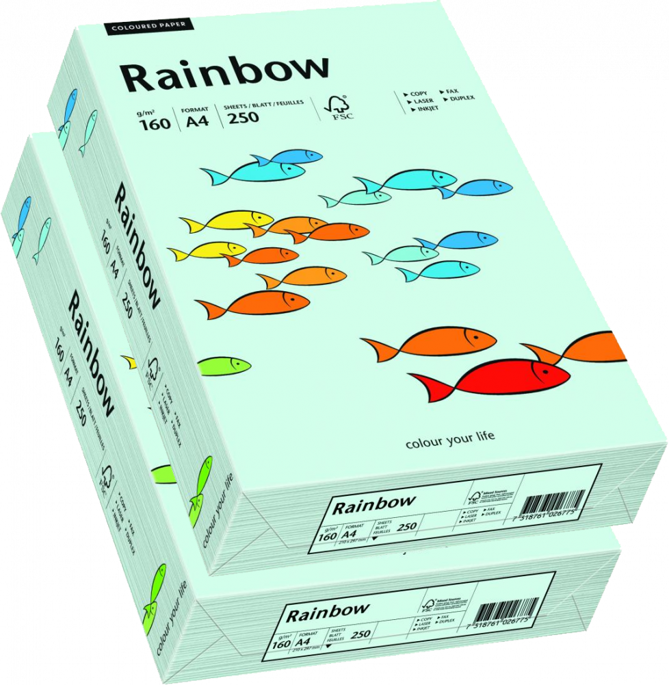 2x Papier ksero ekologiczny Rainbow, A4, 160g/m2, 250 arkuszy, niebieski jasny (R82)