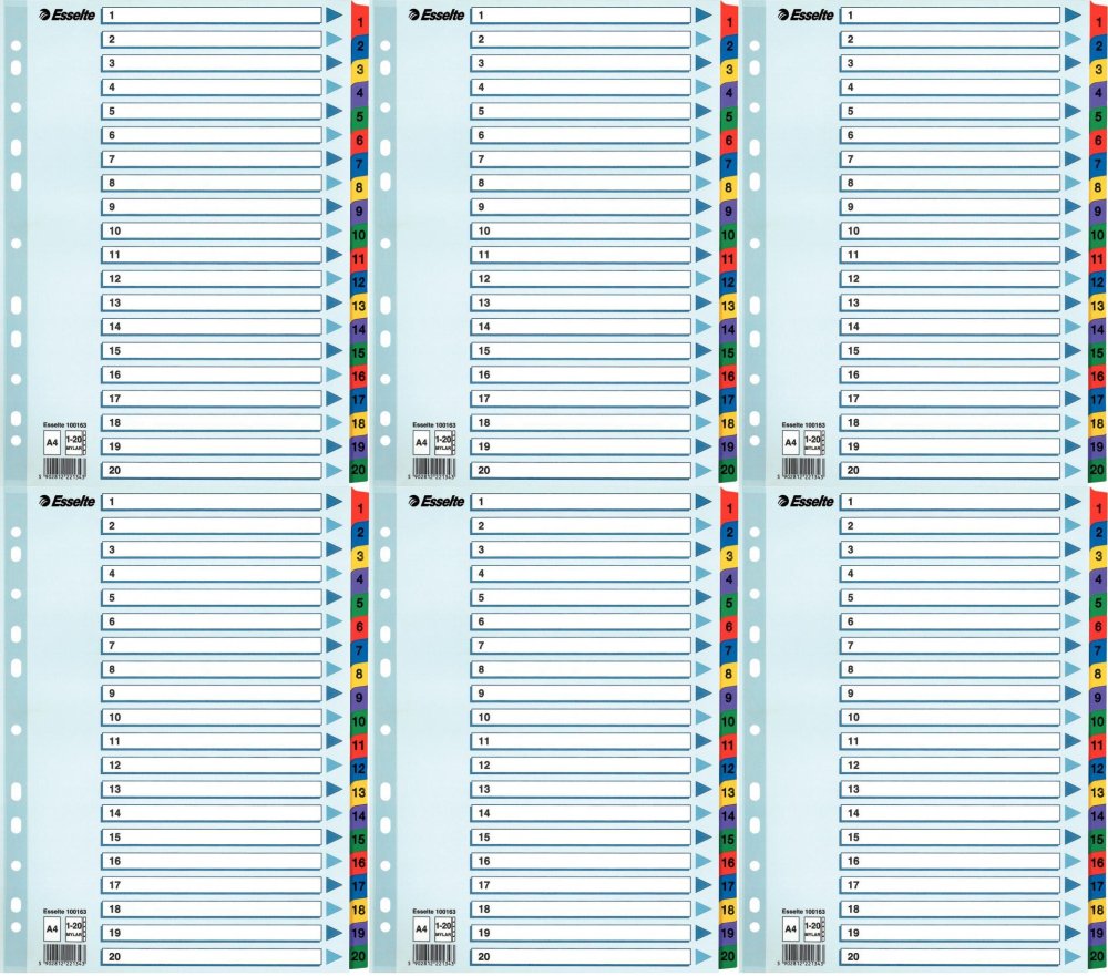 6x Przekładki do segregatora Esselte Mylar, kartonowe, numeryczne, A4, 1-20 kart, mix kolorów