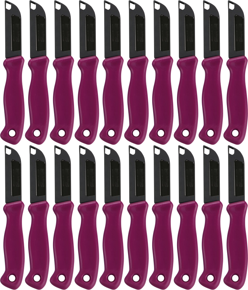 20x Nożyk kuchenny Formson Solingen mały, 15.5x2.5cm, mix kolorów