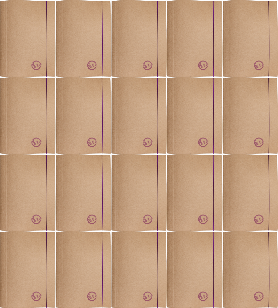 20x Teczka kartonowa z gumką Barbara Eco, A4+, 300g, powietrze