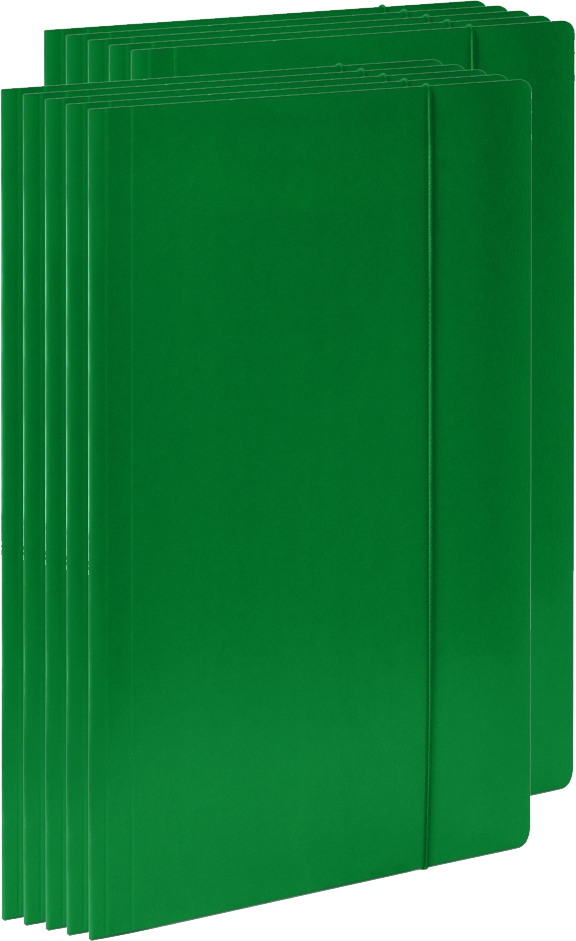 10x Teczka kartonowa z gumką VauPe Economy, A4, 380 g/m2, 20 mm, zielony