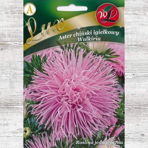 1 pac, Ochiul boului Walkiria Legutko - Semințe: Mod de ambalare: 15 g