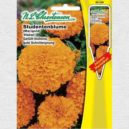 1 pac, Crăițe înalte Hawaii - Semințe: Mod de ambalare: 1 pac