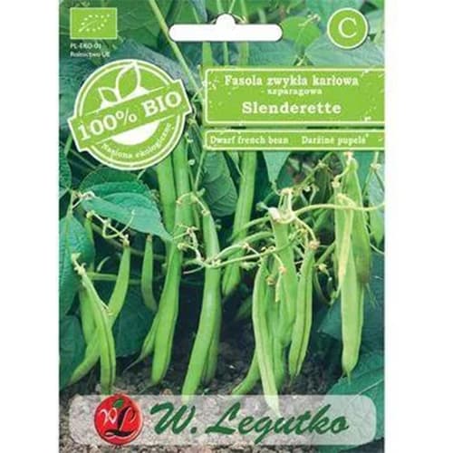 1 pac, Fasole pitică Slenderette - Semințe: Mod de ambalare: 30 buc