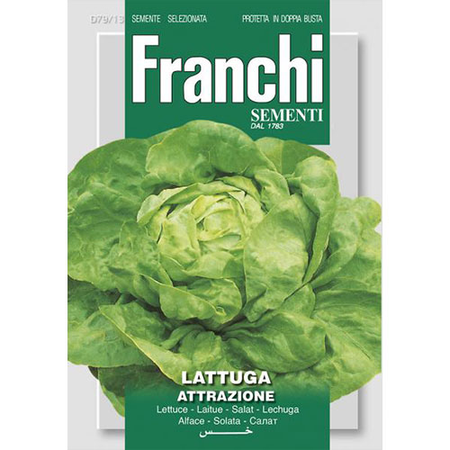 1 pac, Salată de capătână Attrazione - Semințe: Mod de ambalare: 8 g