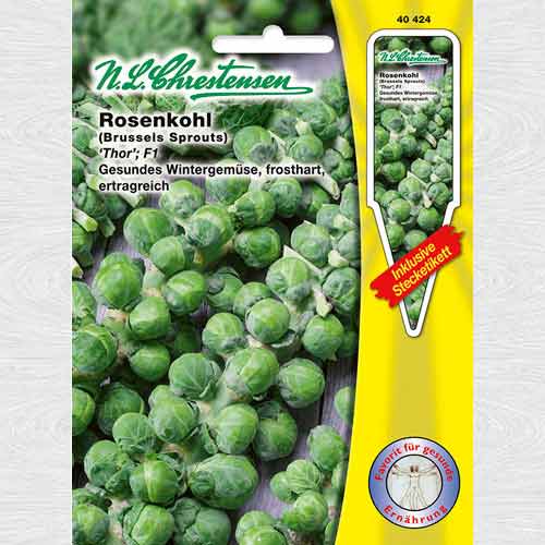 1 pac, Varză de Bruxelles Thor F1 - Semințe: Mod de ambalare: 1 pac