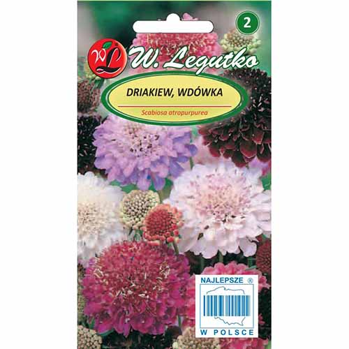 1 pac, Scabiosa atropurpurea, mix multicolor - Semințe: Mod de ambalare: 0.5 g