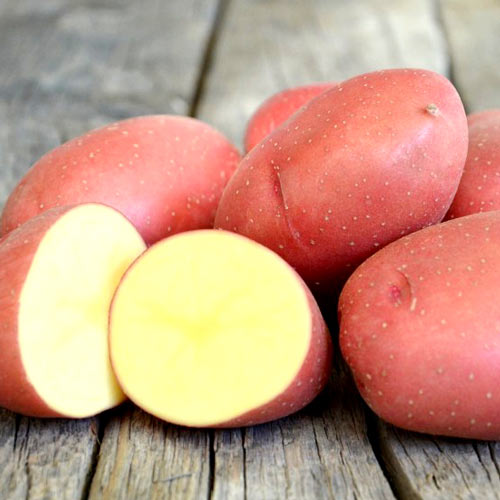 1 kg, Cartofi de sămânță Roko - Tuberculi: Mod de ambalare: 1 kg