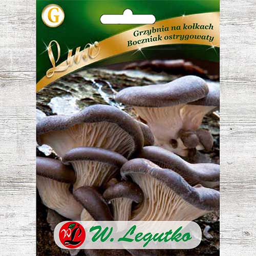 1 pac, Pleurotus - : Mod de ambalare: 20 buc