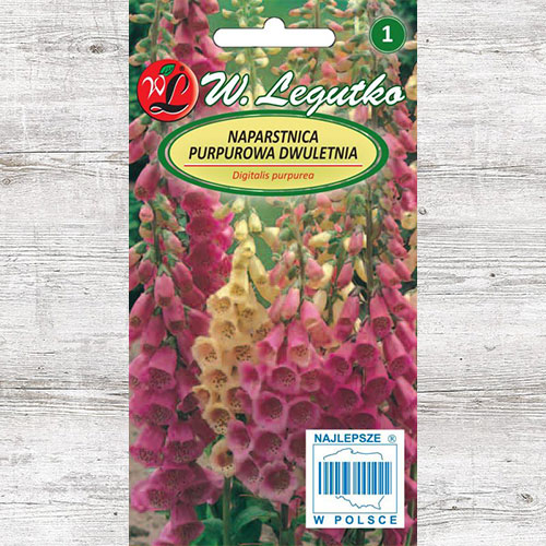 1 pac, Degețel (Digitalis) mix multicolor Legutko - Semințe: Mod de ambalare: 0.5 g