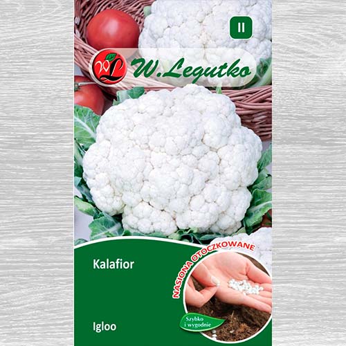 1 pac, Conopidă Igloo - Semințe: Mod de ambalare: 50 semințe