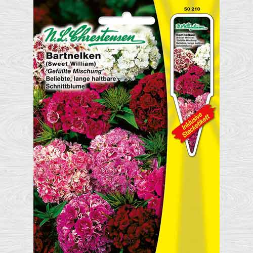 1 pac, Garoafă tucească Double, mix multicolor - Semințe: Mod de ambalare: 1 pac