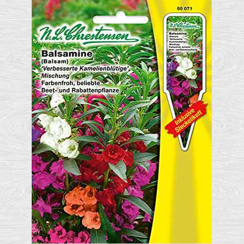 1 pac, Balsamină, mix multicolor - Semințe: Mod de ambalare: 1 pac