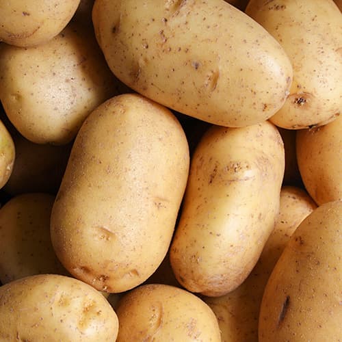1 kg, Cartofi de sămânță Nobles - Tuberculi: Mod de ambalare: 1 kg