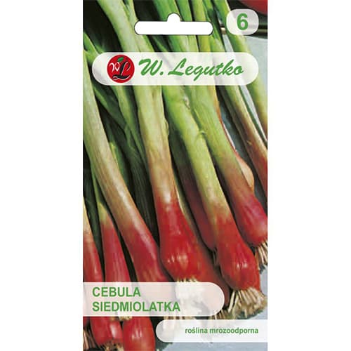 2 g, Cibule zimní Red Toga - : Monžstvo balíkov: 2 g