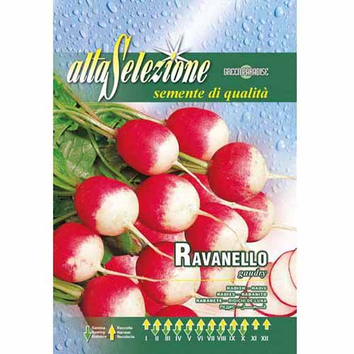 1 szt, Hónapos retek Gaudry - Magok: Mod de ambalare: 1 db