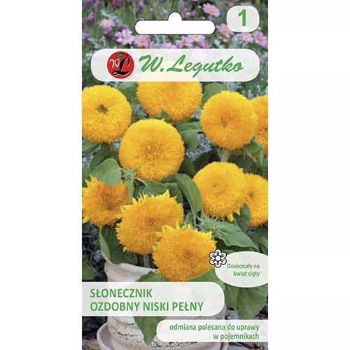 1 szt, Sonnenblume Teddy Bear - Samen: Ilość w opakowaniu: 0.5 g