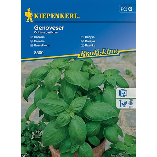 1 szt, Feldsalat Holländischer breitblättriger - Samen: Ilość w opakowaniu: 1 Stück