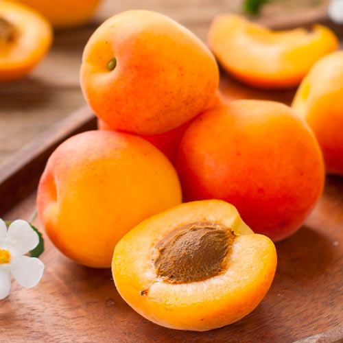 Albaricoquero Mar del Sur - Plántulas: Ilość w opakowaniu: 1 plantas