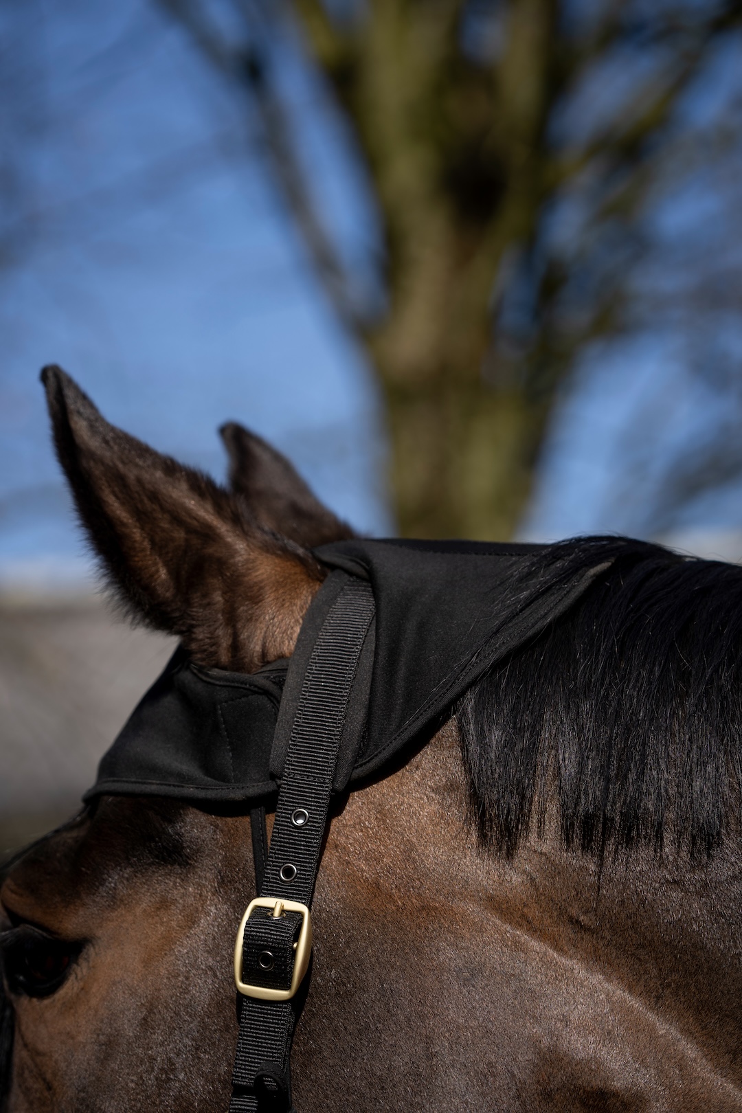 Back on Track ochraniacz na potylicę