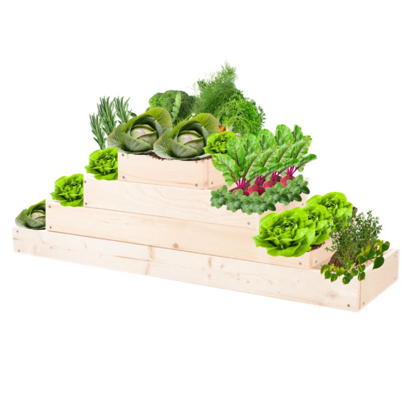 Skrzynia warzywna MODO24 regulowana donica 36x117x30 cm przezroczyste impregnowane drewno 1 szt