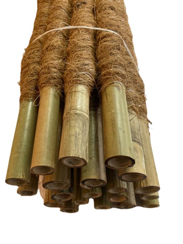 Palik kokosowy 150cm x 25mm BMBS 3 szt.