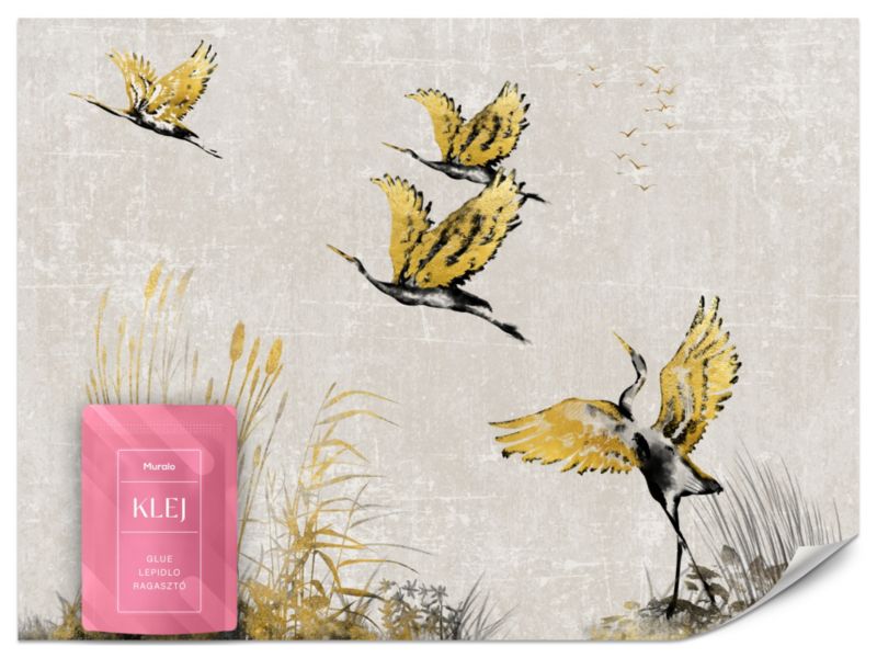 Fototapeta Muralo Gęsi Ptaki Abstrakcja 300x210 cm 1szt.