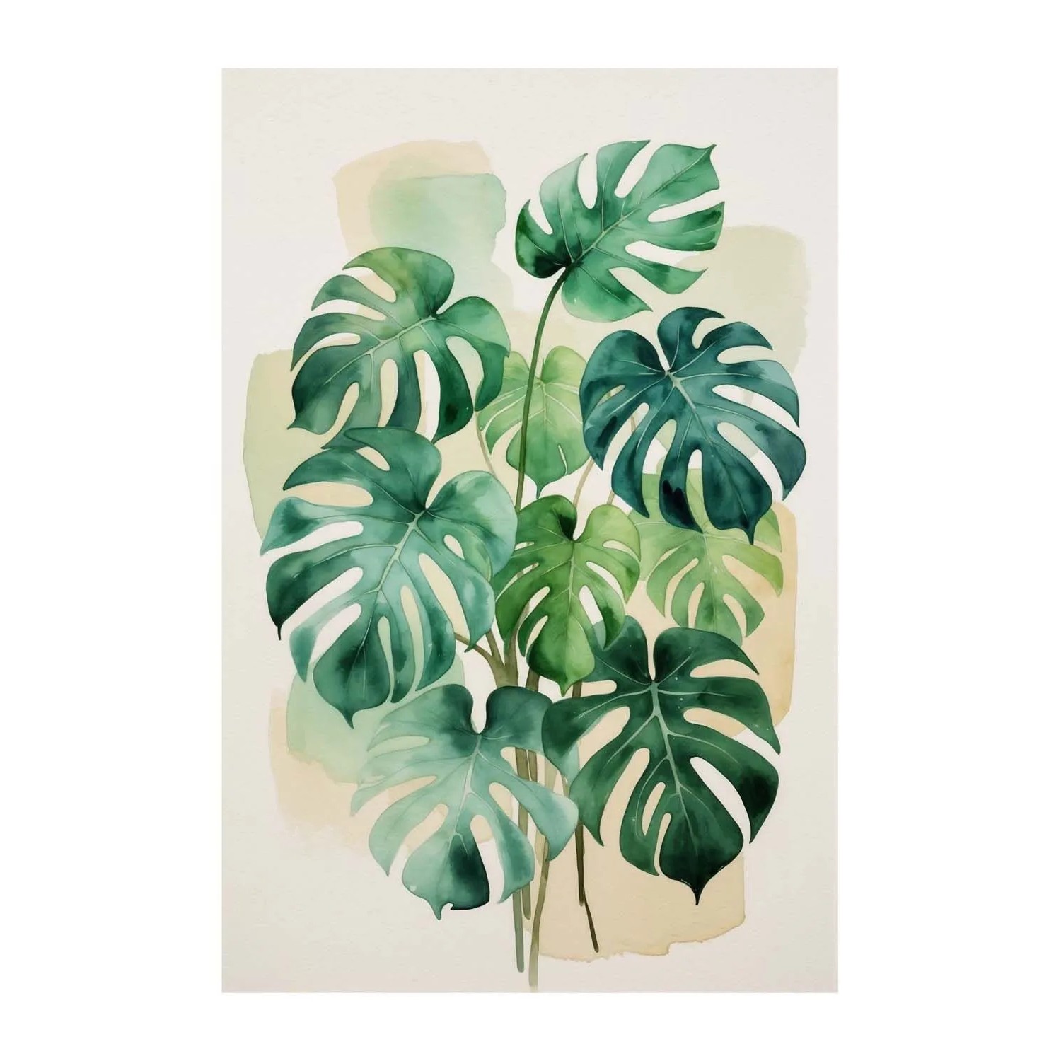 Frames Factory Obraz CANVAS monstera 60 x 80 cm