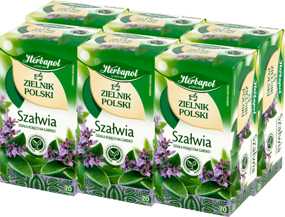 6x Herbata ziołowa w torebkach Herbapol, Zielnik Polski, szałwia, 20 sztuk x 1.2g