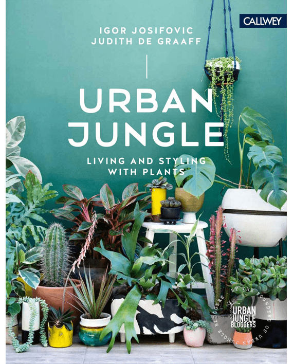 Urban Jungle