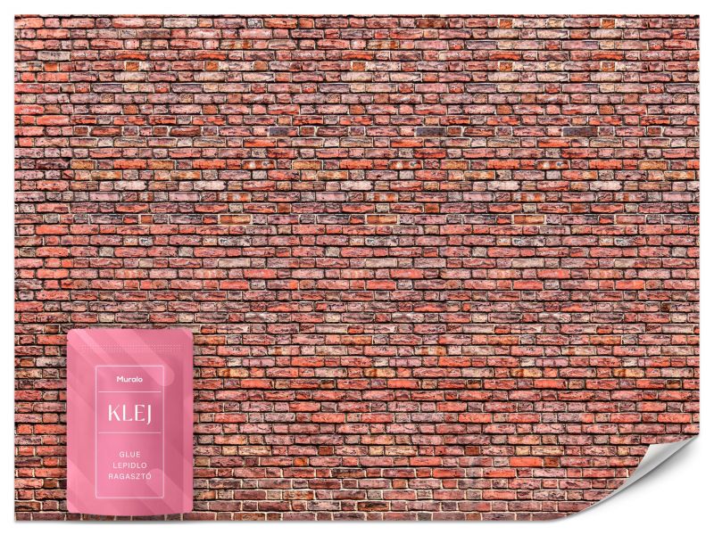 Fototapeta Muralo Stary Ceglany Mur 100x70 cm 1szt.