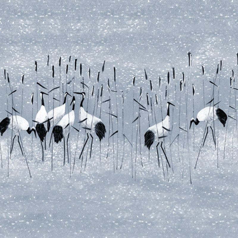 fototapeta Sanders & Sanders żurawi niebieskim 371 x 280 cm - 1 rol.