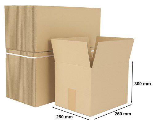 Karton klapowy NEOPAK 250x250x300 mm 50 szt.